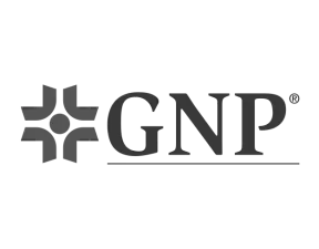 GNP Seguros